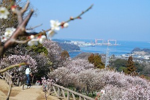 田浦地区